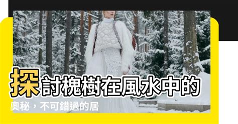 槐 風水|【槐樹風水】探討槐樹在風水中的奧秘，不可錯過的居家綠意指南。